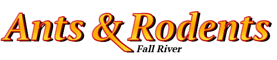 Fall River Ant Exterminator & Rodent Control Company Logo